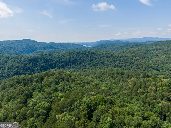 961 Trinton Dr, Ranger, GA 30734