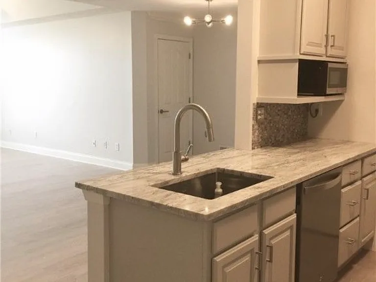 219 Adams Pointe Blvd #11 — Photo 8