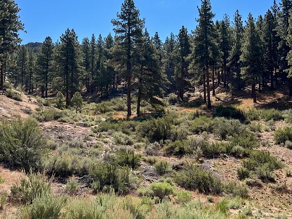 3rd image of 570 Headwaters Way