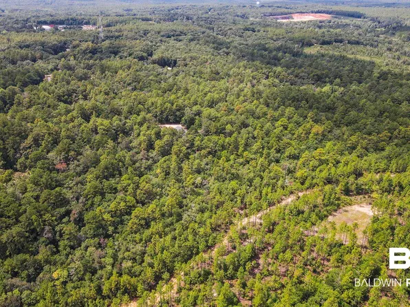 0 Mount Pilgrim Rd, Eight Mile, AL 36613