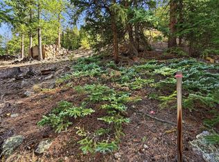 2238 Stanley Rd, Idaho Springs, CO 80452