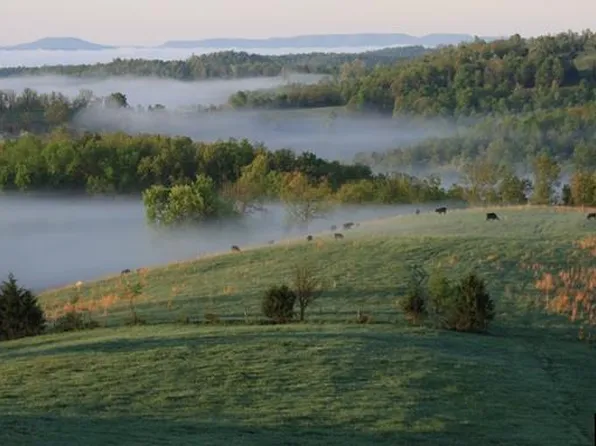 1182 Mc #5012, Saint Joe, AR 72675