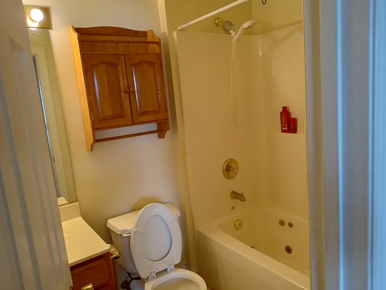 265 Bronze Leaf Dr — Photo 6