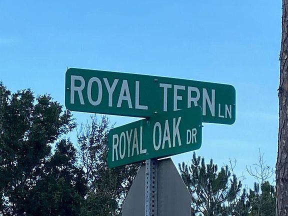 4th image of 7 Royal Oak Dr