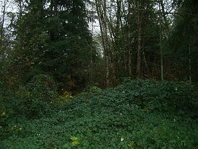 2nd image of 132 Gohr Rd