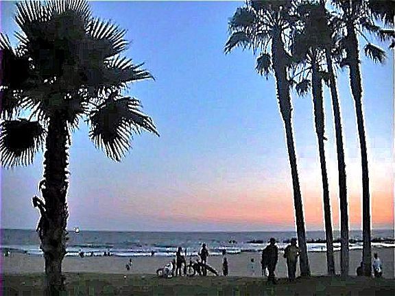 Venice Beach is just 6 minutes by car down the street