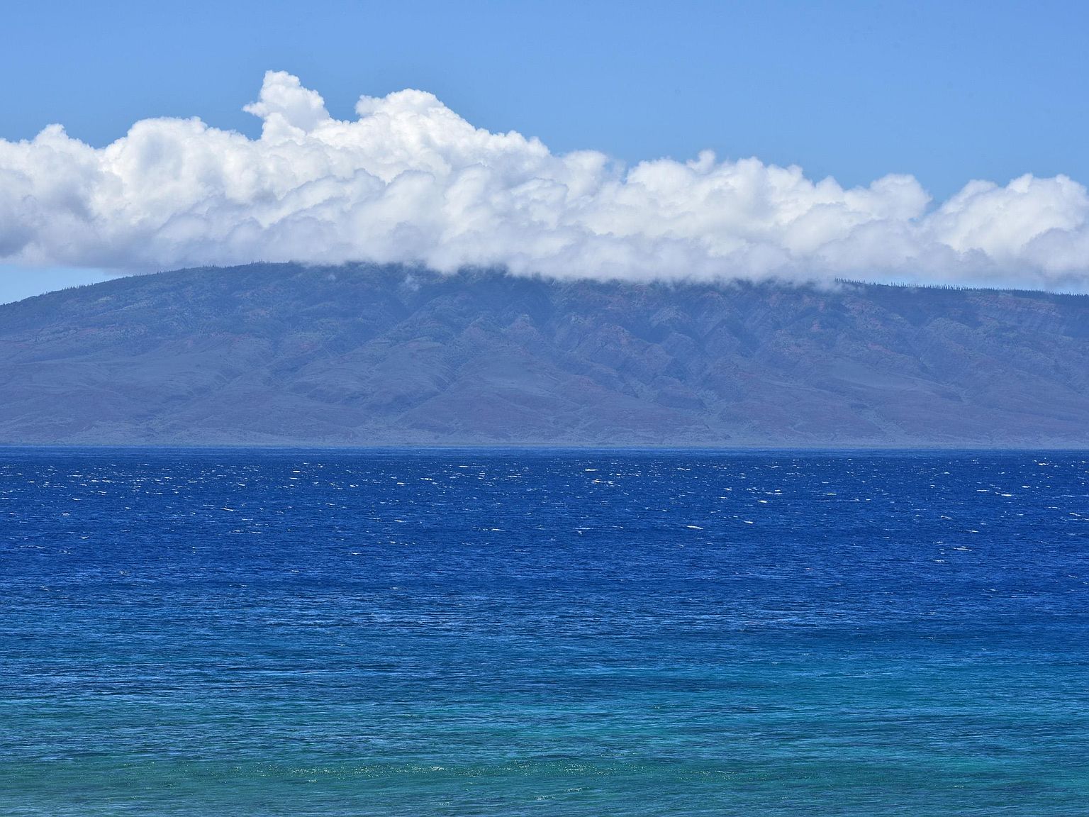 110 Kaanapali Shores Pl 508, Lahaina, HI 96761 Zillow