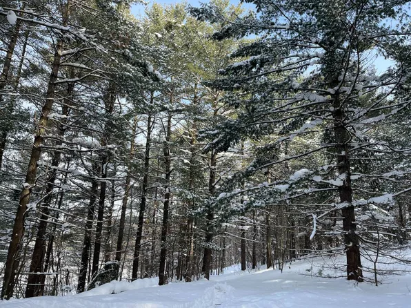 0 Arnoldville Rd #2, Harrisville, NY 13648