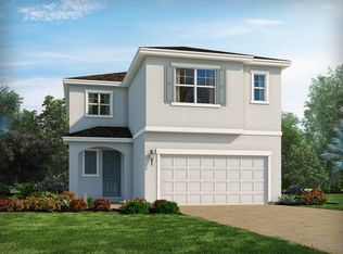 33912 Floating Heart Ct, Wesley Chapel, FL 33545