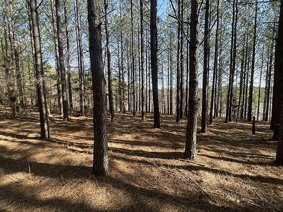 5th image of 129 Pioneer Dr
