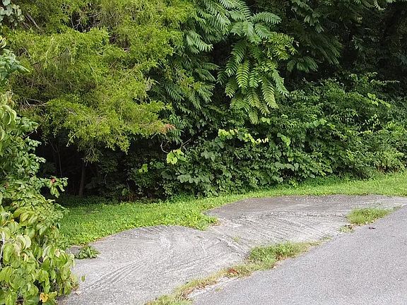 3rd image of Cliffwood Dr #23