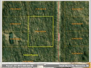 15428 Wurm Rd, Wolverine, MI 49799
