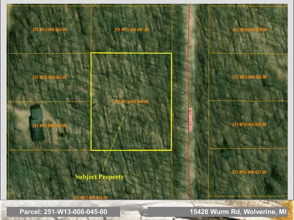 15428 Wurm Rd, Wolverine, MI 49799