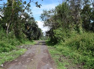 Kauai Rd LOT 309, Pahoa, HI 96778