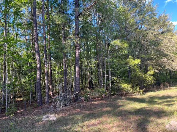 0 Rentz Dr, Walterboro, SC 29488