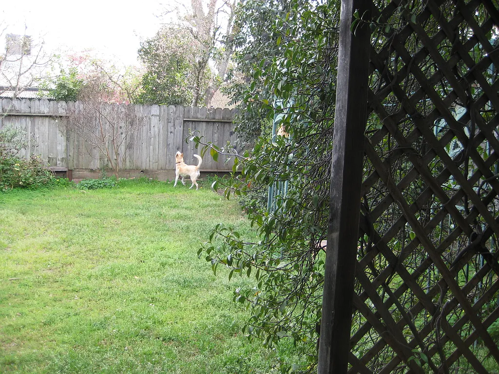 Property photo 3
