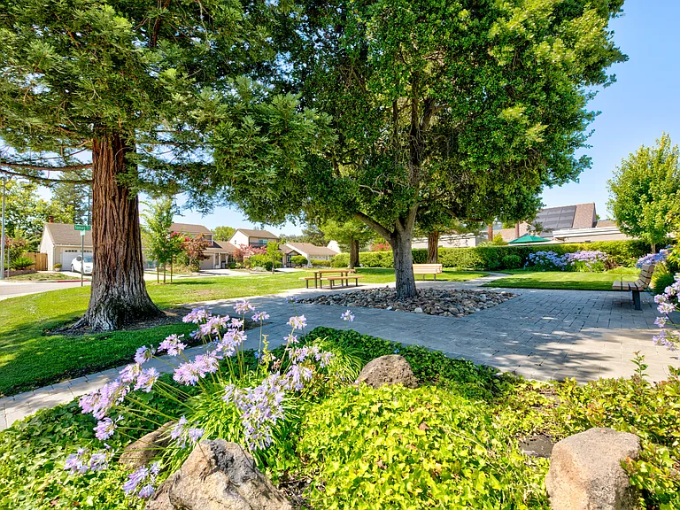 318 Lone Oak Dr — Photo 34