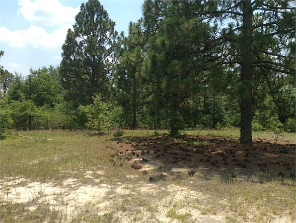 2nd image of Simmons Rd