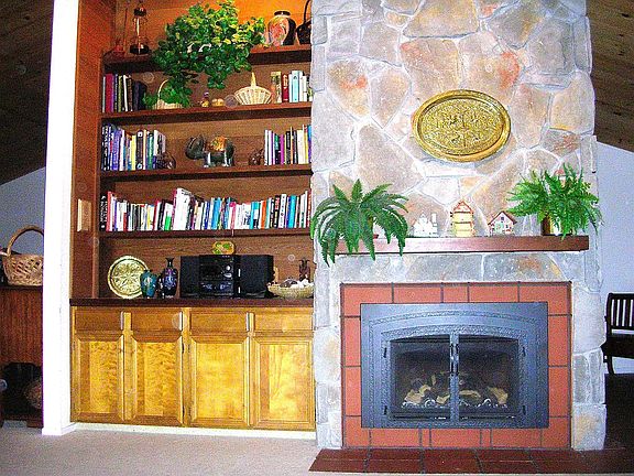 fireplace and built-in bookshelf