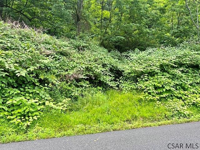 1st image of Moonshine Hollow Rd