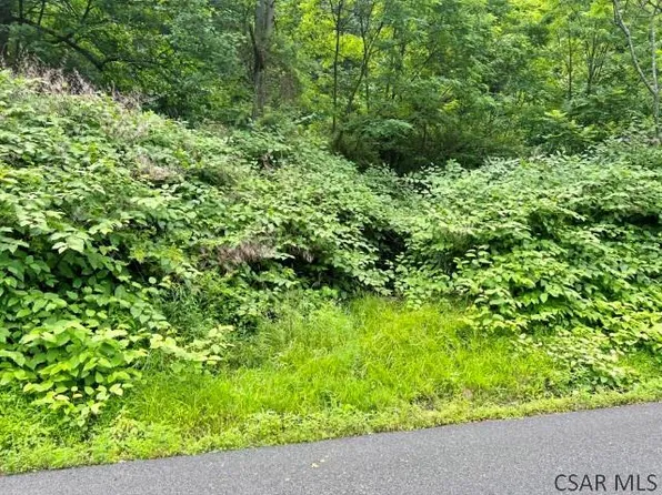 Moonshine Hollow Rd, Johnstown, PA 15905