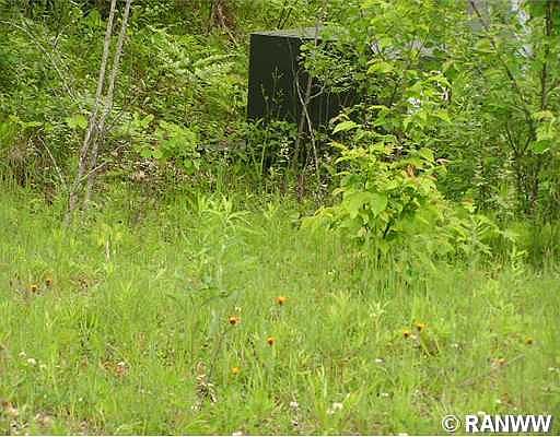5th image of 8963 W Timber Trail Road