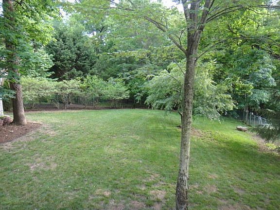 Private back yard