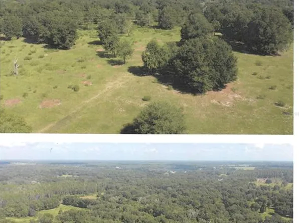 Highway 44, Eustis, FL 32726