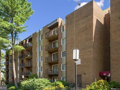 60 S Van Dorn St APT 104, Alexandria, VA, 22304