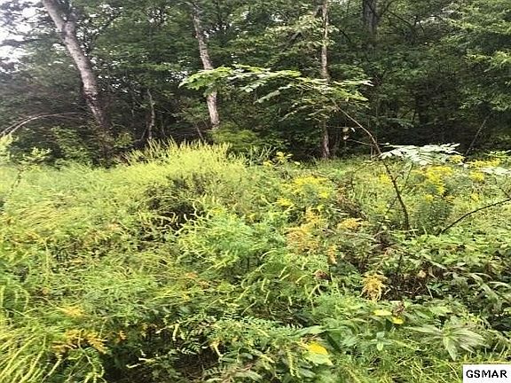 5th image of 7 Bench Mountain Way Lot 7