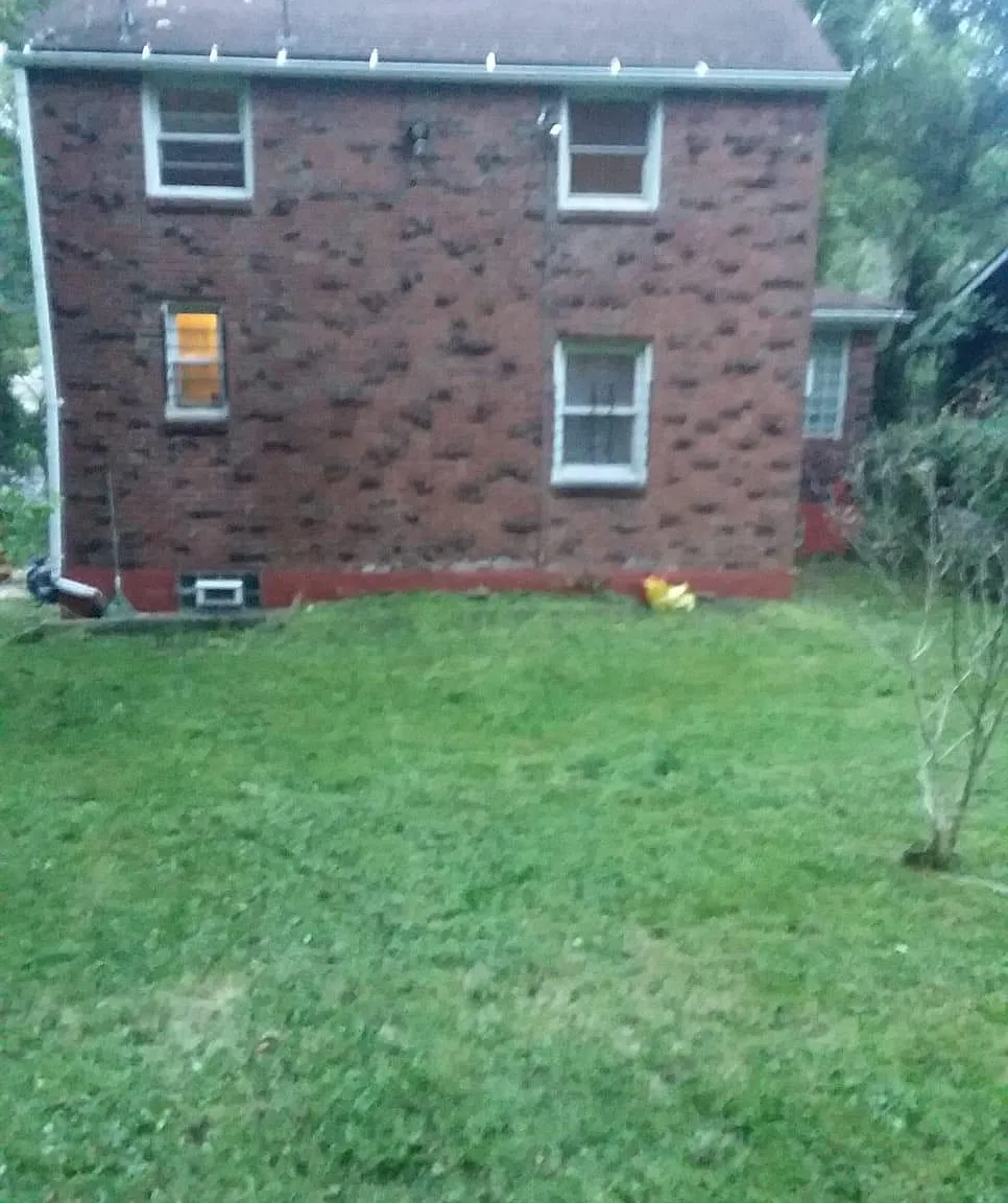 3 bed, $1,350 — Photo 1