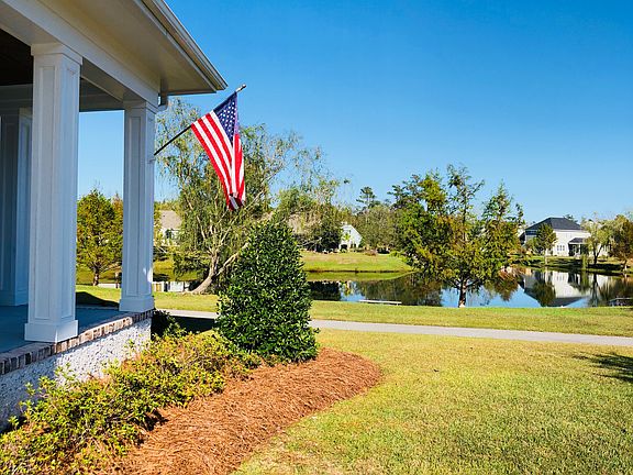 Pond view