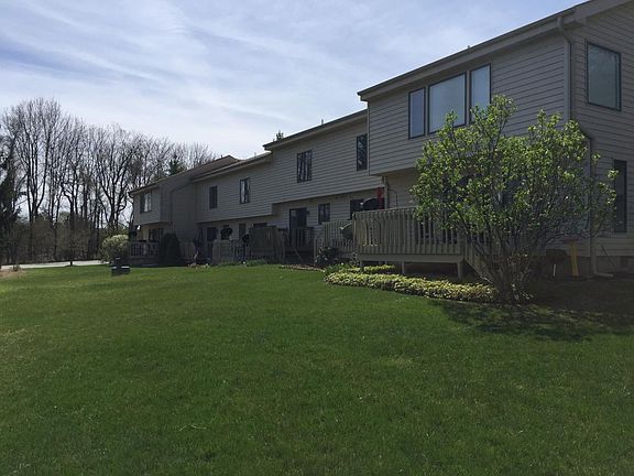 View of shared large yard