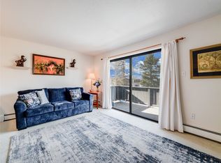 753 Straight Creek Dr #201, Dillon, CO 80435