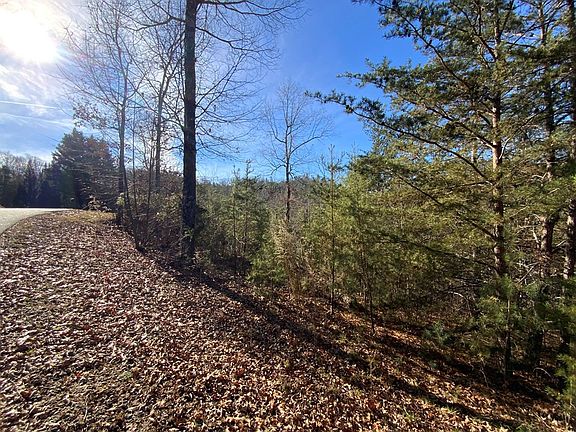 5th image of 0 Brasstown Rd Lot 54