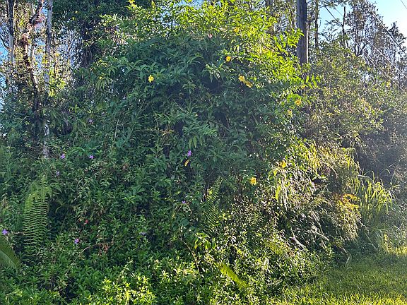 5th image of Kahoolawe Rd