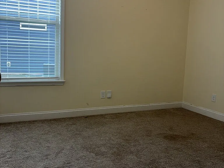 18 Forest Ridge Way — Photo 15