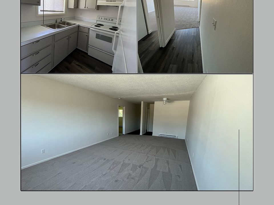 2nd image of 4500-4507 Cannon Ave #50