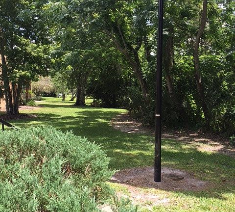 3rd image of 4874 S Semoran Blvd APT 1704