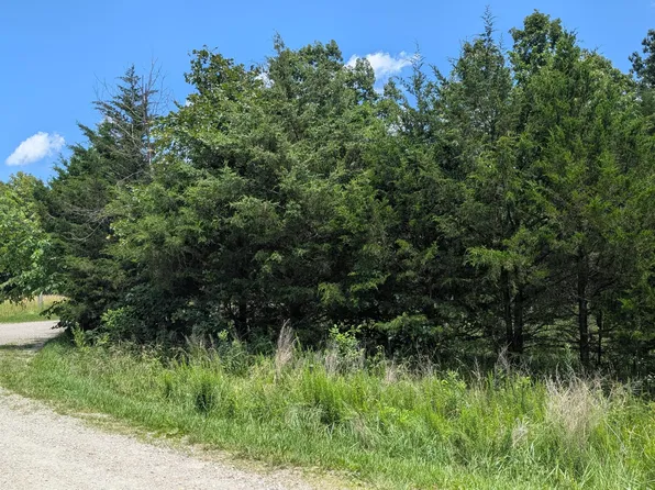 000 Gardner Hill Lane, Fordland, MO 65652