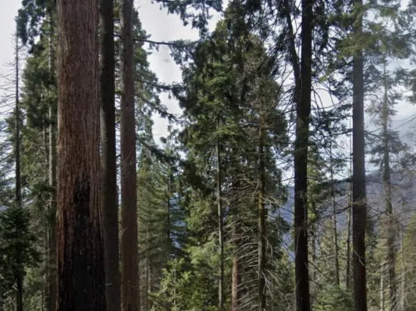 54864 Alder Drive, Springville, CA 93265