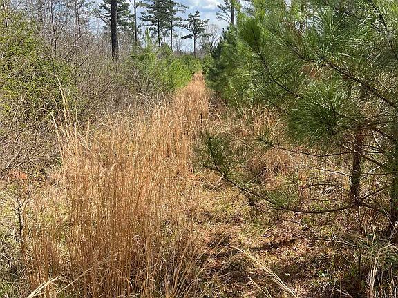 5th image of Parker Rd