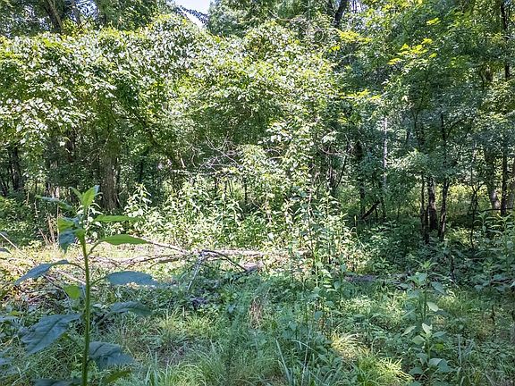 4th image of TRACT 1 Upper Janes Creek Rd