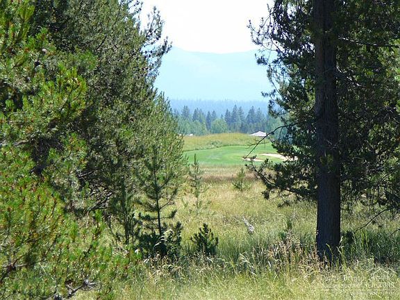 3rd image of 56835 Nest Pine Proposed Dr