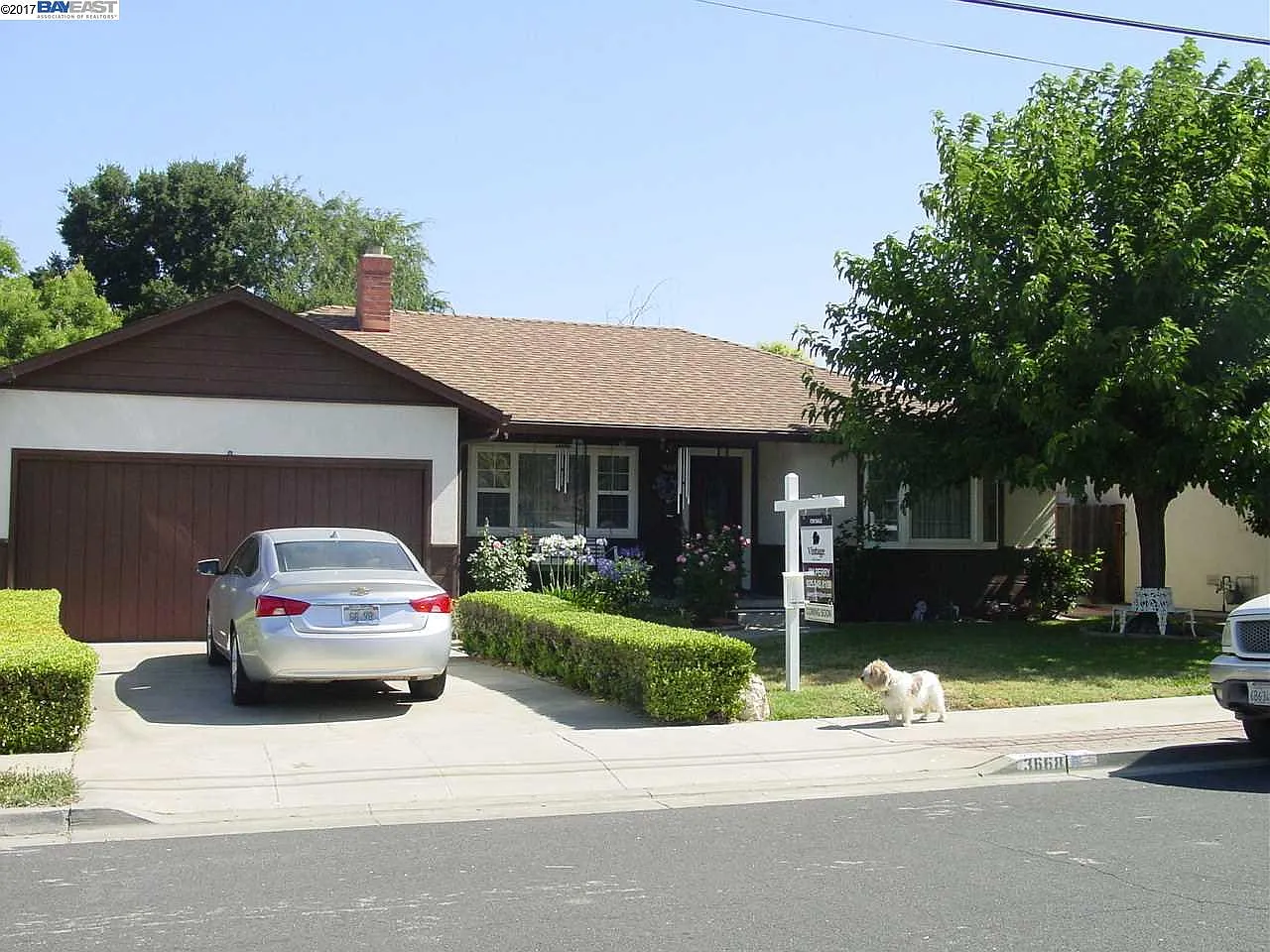 3668 Oregon Way photo 1