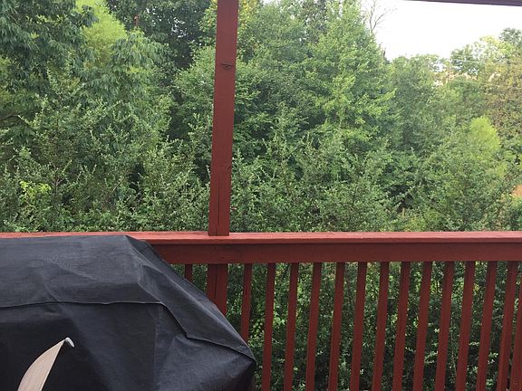 Back Deck 3