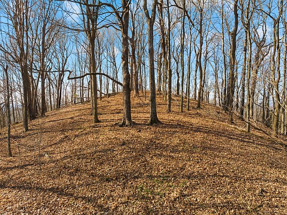 2nd image of 0 Rocky Branch Rd