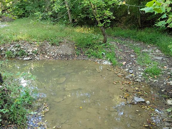 3rd image of 15711 Pfanstiehl Rd