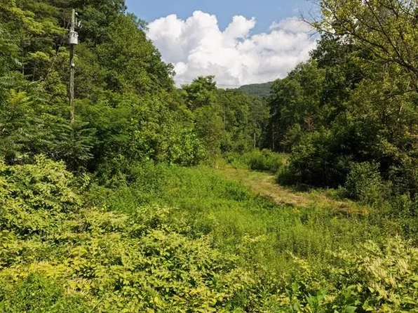 Baptist Hollow Rd, Hiwassee, VA 24347