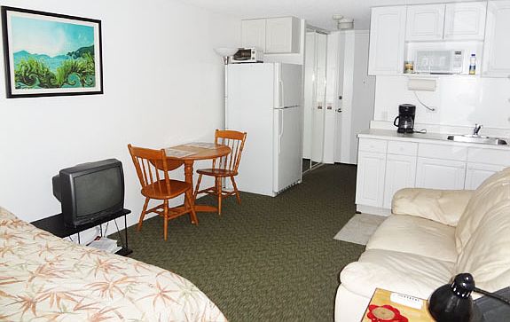 2nd image of 2572 Lemon Rd APT 508